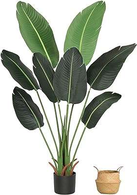 Arbre artificiel movish plantes oiseaux du paradis 4 pieds 6 pieds 19 pieds bananier avec panier. Restez à la pointe de la technologie sans vous ruiner grâce à DIAYTAR COTE D'IVOIRE . Parcourez notre sélection d'articles informatiques à prix cassés, des ordinateurs portables aux périphériques les plus performants. Ne faites aucun compromis sur la puissance et économisez avec DIAYTAR COTE D'IVOIRE .