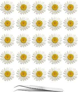 Fleurs de chrysanthème blanches séchées pressées 60 pièces de vraies fleurs naturelles en résine. Besoin de faire des économies sans sacrifier la qualité ? Ne cherchez pas plus loin que DIAYTAR COTE D'IVOIRE . Notre boutique en ligne généraliste propose des produits discount de premier choix pour la maison, l'électroménager, l'informatique et la mode. Offrez-vous le meilleur au meilleur prix avec DIAYTAR COTE D'IVOIRE .