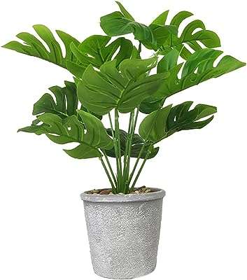 Aisamco feuilles de palmier artificielles avec pot gris fausse feuille de tortue. À la recherche de produits discount de qualité ? Ne cherchez plus ! DIAYTAR COTE D'IVOIRE  vous propose une sélection variée d'articles pour la maison, l'électroménager, l'informatique et la mode à des prix imbattables. N'hésitez plus et faites des économies en optant pour nos offres attractives !