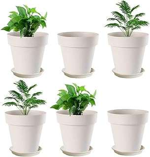 Glucluse pots de fleurs en plastique de 6 pouces support rond pour pépinière. À la recherche de bons plans ? Rendez-vous sur DIAYTAR COTE D'IVOIRE, votre partenaire en ligne pour des produits discount de qualité. Parcourez notre large éventail de produits, allant de l'électroménager de pointe à la mode tendance, et profitez d'économies incroyables tout en apportant une touche de style à votre vie quotidienne.