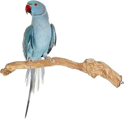 Support pour perroquet en bois de java de taille moyenne avec anneau. Faites des économies sur tous les fronts avec DIAYTAR COTE D'IVOIRE . Parcourez notre boutique en ligne et trouvez tout ce dont vous avez besoin, des appareils électroménagers dernier cri aux vêtements à la mode, en passant par les gadgets high-tech, le tout à des prix imbattables.