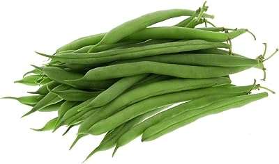 Haricots français 500 g. DIAYTAR COTE D'IVOIRE  : la boutique en ligne incontournable pour des achats discount dans tous les domaines. Parcourez notre sélection variée allant des produits pour la maison à la technologie dernier cri en passant par la mode tendance. Obtenez des produits de qualité à des prix compétitifs, tout en profitant d'une expérience de shopping en ligne optimale avec DIAYTAR COTE D'IVOIRE  !