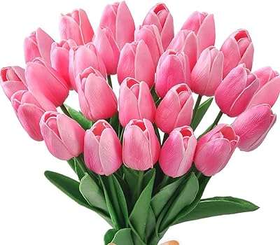 Beauenty 20pcs bouquets de tulipes artificielles touch pour la maison bureau mariage fête décoration de table. Vous cherchez des produits discount de qualité ? Ne cherchez plus, DIAYTAR COTE D'IVOIRE  est là pour vous ! Parcourez notre boutique en ligne et découvrez une variété d'articles pour la maison, l'électroménager, la mode, l'informatique et les gadgets à des prix défiant toute concurrence. Ne manquez pas nos offres spéciales et économisez sur tous vos achats !