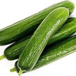 30 mcx de graines de concombre ferme de plus en vivace plante végétale. Ne payez pas le prix fort, découvrez DIAYTAR COTE D'IVOIRE  ! Notre boutique en ligne généraliste vous propose une variété de produits discount, des essentiels pour la maison aux appareils électroniques, en passant par la mode et les gadgets. Bénéficiez de prix abordables et de promotions attractives pour réaliser des économies significatives sur vos achats en ligne.