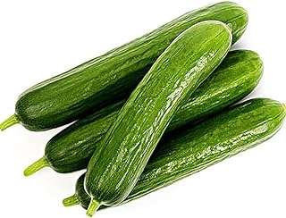 30 mcx de graines de concombre ferme de plus en vivace plante végétale. Ne payez pas le prix fort, découvrez DIAYTAR COTE D'IVOIRE  ! Notre boutique en ligne généraliste vous propose une variété de produits discount, des essentiels pour la maison aux appareils électroniques, en passant par la mode et les gadgets. Bénéficiez de prix abordables et de promotions attractives pour réaliser des économies significatives sur vos achats en ligne.