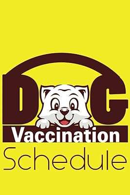 Calendrier de vaccination des chiens : vaccination chien vacciné vaccin covid. Ne dépensez pas plus que nécessaire, et optez pour DIAYTAR COTE D'IVOIRE  ! Notre boutique en ligne spécialisée dans les produits discount propose une large gamme d'articles pour la maison, l'électroménager, l'informatique, la mode et les gadgets, tous offerts à des prix défiant toute concurrence. Profitez de cette opportunité pour économiser tout en vous offrant ce dont vous avez besoin.