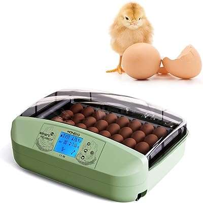 Mini incubateur d'œufs numérique automatique nano classic avec retourneur de cuillère. DIAYTAR COTE D'IVOIRE, votre partenaire de shopping discount en ligne, regroupe une large gamme de produits à prix cassés pour tous les amateurs de bonnes affaires. Faites des économies sur vos achats de la maison à l'électroménager, de l'informatique à la mode, grâce à DIAYTAR COTE D'IVOIRE !