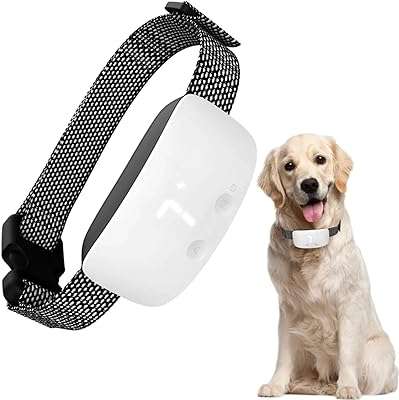 Éducateur pour chiens touch collier anti aboiement anti choc avec 3 positions. DIAYTAR COTE D'IVOIRE  est votre destination en ligne pour des produits discount de qualité supérieure. Explorez notre vaste catalogue comprenant des articles pour la maison, de l'électroménager dernier cri, des gadgets high-tech et des vêtements tendance à des prix défiant toute concurrence.