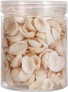 Perles de coquille de conque blanche naturelle healifty petit coquillage breloques en coquillage. Faites des bonnes affaires en un clic avec DIAYTAR COTE D'IVOIRE  ! Notre boutique en ligne généraliste vous propose une large gamme de produits discount, de l'électroménager à l'informatique en passant par la mode et les gadgets. N'attendez plus pour économiser et équiper votre maison à prix réduits, sans compromis sur la qualité !