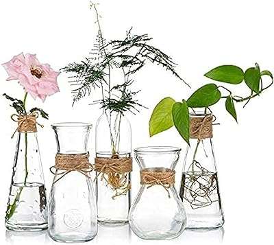 Diverses formes uniques conception de corde vases en verre transparent décoration de la maison. Découvrez DIAYTAR COTE D'IVOIRE  - votre guichet unique pour des achats discount en ligne. Que vous recherchiez des produits électroménagers, des gadgets high-tech ou des vêtements tendance, notre boutique généraliste propose une large gamme d'articles à prix réduits pour tous les budgets. Ne manquez pas les bonnes affaires chez DIAYTAR COTE D'IVOIRE  !