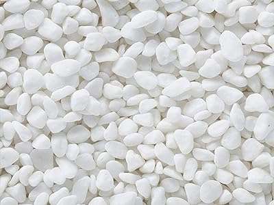 Petits galets sison.g 1 kg (blanc). DIAYTAR COTE D'IVOIRE  vous propose une expérience de shopping en ligne à petit budget sans compromettre la qualité. Découvrez notre sélection diversifiée de produits discount, allant de l'informatique aux gadgets branchés, en passant par les articles pour la maison et bien plus encore. Faites des économies intelligentes et restez dans la tendance avec DIAYTAR COTE D'IVOIRE .