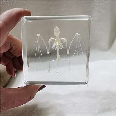 Spécimen d'insecte véritable spécimen d'araignée de grenouille libellule collection scientifique résine. Trouvez tout ce dont vous avez besoin chez DIAYTAR COTE D'IVOIRE, votre boutique en ligne discount incontournable. Avec un vaste choix d'articles pour la maison, des électroménagers aux gadgets high-tech, en passant par la mode à petits prix, nous vous offrons des opportunités d'économies tout en garantissant une satisfaction maximale.