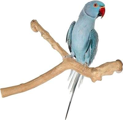 Support pour perroquet en bois de java de taille moyenne avec anneaux. Explorez DIAYTAR COTE D'IVOIRE  et découvrez une multitude de produits incroyables à des prix réduits. De l'électroménager aux gadgets en passant par la mode, notre boutique en ligne généraliste offre une vaste sélection pour tous vos besoins à petit prix. Faites des économies tout en vous faisant plaisir en passant commande dès maintenant!