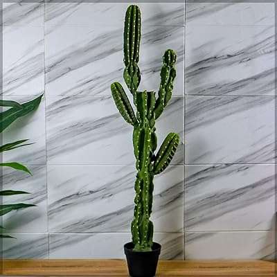Plante de cactus artificielle yatai d'environ 12 m de hauteur avec pot en plastique pour décoration. Plongez dans l'univers de DIAYTAR COTE D'IVOIRE, votre boutique en ligne de référence pour des offres discount incroyables. Des indispensables pour la maison aux appareils électroménagers haut de gamme, en passant par les produits informatiques de qualité et les articles de mode tendance, nous sommes là pour vous offrir une expérience shopping exceptionnelle à des prix défiant toute concurrence. Ne manquez pas cette opportunité de faire des économies tout en ajoutant de la valeur à votre quotidien !