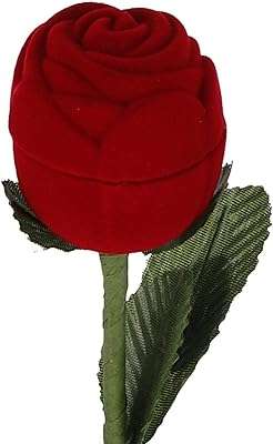 Boîte à colliers boîtes alliances alliances en fleurs rangement rouge pour boucles. À la recherche de bons plans ? DIAYTAR COTE D'IVOIRE  est là pour vous ! Explorez notre sélection discount de produits pour la maison, l'électroménager et l'informatique, ainsi que des vêtements à la mode et des gadgets abordables. Des économies garanties sur tous vos achats en ligne !