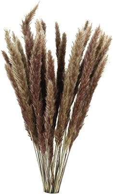 Fleurs d'herbe à plumes sèches naturelles fleurs préservées vente en gros. Achat malin en ligne ? C'est chez DIAYTAR COTE D'IVOIRE  ! Parcourez notre boutique en ligne généraliste et trouvez tout ce dont vous avez besoin à des prix réduits. Que ce soit pour équiper votre maison, mettre à jour votre garde-robe ou obtenir les derniers gadgets, notre sélection discount saura vous satisfaire sans vous ruiner !