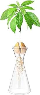 Hoideo pot de jardinière d'avocat en verre d'avocatier fleur hydroponique pour plantes. Découvrez DIAYTAR COTE D'IVOIRE, la boutique en ligne où vous trouverez des articles discount pour tous les aspects de votre vie quotidienne. Que vous recherchiez des équipements pour la maison, des appareils électroniques dernier cri, des vêtements à la mode ou des gadgets innovants, notre vaste sélection de produits vous garantit des économies substantielles sans sacrifier la qualité. Faites des achats malins et profitez de prix imbattables avec DIAYTAR COTE D'IVOIRE .