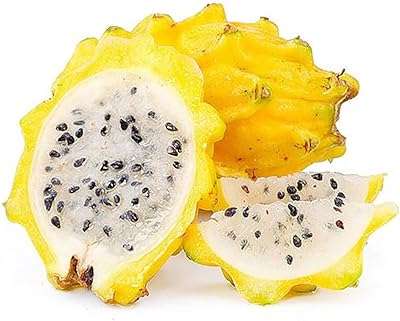 100 pièces de fruits de mer pitaya samen avec planche à découper pour le jardinage. DIAYTAR COTE D'IVOIRE, votre destination en ligne pour des achats malins. Parcourez notre vaste sélection de produits discount allant de la maison à l'électronique en passant par la mode et l'informatique. Ne sacrifiez pas la qualité pour le prix lorsque vous pouvez avoir les deux chez nous.