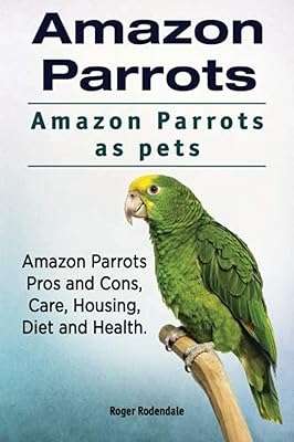 Perroquets amazoniens. les perroquets amazoniens comme animaux de compagnie. avantages et inconvénients des amazoniens. Ne cherchez pas plus loin pour trouver des produits de qualité à prix réduits. DIAYTAR COTE D'IVOIRE  est votre destination en ligne pour tous vos besoins en produits discount, de la maison à l'électroménager, de l'informatique à la mode. Faites des économies substantielles et trouvez les articles parfaits, adaptés à votre budget.