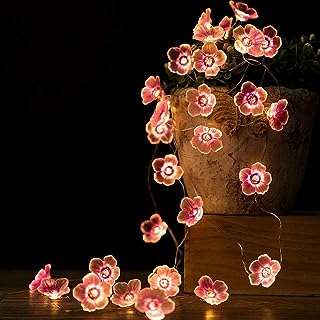 3m 30 led guirlande lumineuse de noël à piles décorations roses pour chambre. DIAYTAR COTE D'IVOIRE  vous offre une expérience d'achat en ligne unique en proposant une multitude de produits discount dans différents domaines. Faites-vous plaisir sans vous ruiner en choisissant parmi notre sélection de produits pour la maison, l'électroménager, l'informatique, la mode et bien plus encore.