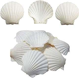 Coquillages gere disponibles 16 pièces de coquillages blancs naturels pour l'artisanat la plage. When it comes to finding discounted products, DIAYTAR COTE D'IVOIRE  is the name you can trust. Explore our wide range of household essentials, electronics, fashionable attire, and cutting-edge gadgets, all at prices that make shopping guilt-free. Experience ultimate savings without compromising on style or functionality.