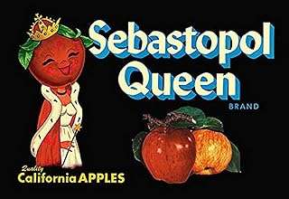 Acheterlarge sebastian topol queen apples impression sur toile 24 x 36. DIAYTAR COTE D'IVOIRE, votre destination en ligne pour tous les produits discount dont vous avez besoin. Explorez notre large gamme de produits, allant des gadgets de dernière génération aux vêtements à la mode, en passant par les équipements informatiques et bien plus encore, le tout à des prix imbattables.