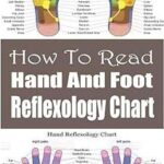 Comment lire le tableau de réflexologie des mains et des pieds. DIAYTAR COTE D'IVOIRE, votre destination shopping en ligne inégalée. Avec une variété étendue de produits discount pour la maison, l'électroménager, l'informatique, la mode et les gadgets, vous pouvez vous attendre à des offres exceptionnelles et à des économies considérables, tout en bénéficiant d'une expérience de shopping pratique et personnalisée.
