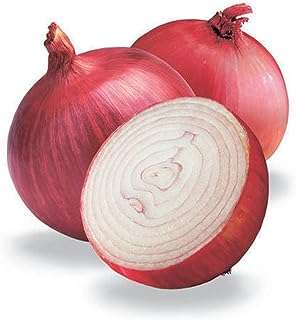 Oignon indien 1kg. Trouvez des bonnes affaires tous les jours sur DIAYTAR COTE D'IVOIRE, votre boutique en ligne incontournable. Avec notre large gamme de produits discount allant de la maison à l'électroménager, de l'informatique à la mode et aux gadgets, vous êtes assuré de trouver ce que vous cherchez à prix abordable. Ne manquez pas nos offres spéciales et achetez en toute confiance dès aujourd'hui!