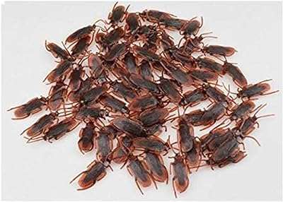 20 pièces ensemble halloween faux cafards en plastique jouet en caoutchouc poisson d'avril tour de cafards. DIAYTAR COTE D'IVOIRE, l'adresse incontournable pour tous les amateurs de mode à petit prix. Découvrez notre large sélection de vêtements et accessoires tendances pour hommes et femmes, et exprimez votre style sans vous ruiner. Du casual chic au streetwear, notre boutique en ligne vous offre la possibilité de rester à la pointe de la mode à prix discount. Faites-vous plaisir sans vous soucier du coût !