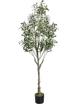 Silens olivier artificiel de 6 pieds grand olivier artificiel plantes d'intérieur. Un large choix, des prix imbattables, c'est ce que vous offre DIAYTAR COTE D'IVOIRE . Avec des produits discount pour tous les besoins, de la maison à l'électroménager, de l'informatique à la mode et aux gadgets, notre boutique en ligne va au-delà de vos attentes pour vous proposer des produits abordables sans compromis sur la qualité.