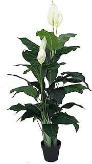 Plantes artificielles 90 cm calla lily simulation vertes décoration de jardin. Avec DIAYTAR COTE D'IVOIRE, dites adieu aux prix élevés ! Découvrez notre gamme complète de produits discount, des accessoires de maison aux équipements électroniques, en passant par la mode et les gadgets à la pointe de la technologie. Trouvez tout ce dont vous avez besoin à prix réduits en quelques clics seulement.