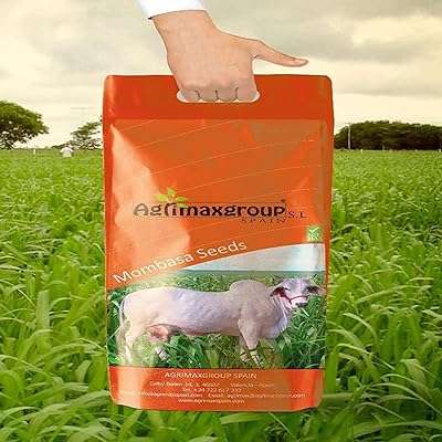Graines agrimax punicam mombasa de haute qualité (fabriquées en espagne) par dxb. DIAYTAR COTE D'IVOIRE  est votre destination en ligne pour trouver une vaste sélection de produits à prix réduits. Que vous recherchiez des articles pour la maison, des appareils électroménagers de qualité, du matériel informatique ou même des accessoires de mode tendance, vous êtes sûr de trouver les meilleures affaires chez nous !