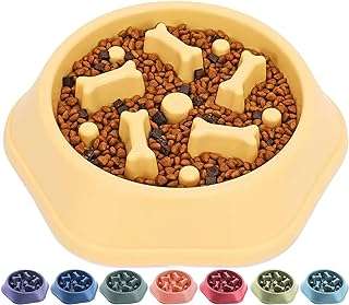 Bol de slow food pour chien moyen bol anti avalement anti ballonnements chien. DIAYTAR COTE D'IVOIRE, votre destination shopping discount en ligne. Parcourez notre catalogue étendu et faites votre choix parmi notre vaste gamme de produits pour la maison, l'électroménager, l'informatique et la mode. Profitez de nos prix imbattables et réalisez des économies substantielles dès maintenant.