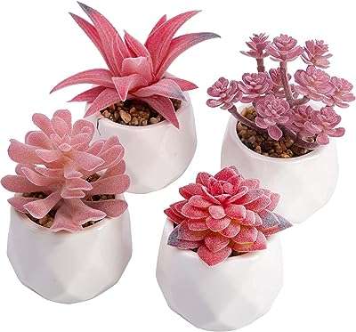 Succulentes artificielles dans un pot en céramique blanche dabuza plantes succulentes. Faites de bonnes affaires en matière d'électroménager sur DIAYTAR COTE D'IVOIRE  ! Notre boutique en ligne propose une large gamme d'appareils ménagers à des prix imbattables. Que ce soit pour une machine à laver, un réfrigérateur ou un aspirateur, vous trouverez tout ce dont vous avez besoin chez nous.