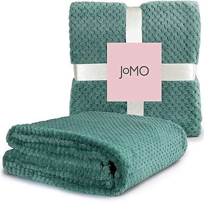Couverture en flanelle rayée couverture en peluche super douce taille unique (160" x 220") pour lits. DIAYTAR COTE D'IVOIRE  est l'adresse incontournable pour tous ceux qui cherchent des produits discount en ligne. Parcourez notre site et trouvez des offres imbattables sur une grande variété de produits, des articles pour la maison aux produits high-tech en passant par les dernières tendances mode et les gadgets les plus recherchés.