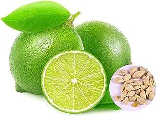 Graines de plantes vertes 20 citronnier productives sans ogm viables pour pots. Découvrez DIAYTAR COTE D'IVOIRE, votre destination en ligne pour des produits discount de qualité supérieure. Achetez des articles de maison, des appareils électroménagers, des équipements informatiques, des vêtements tendance et des gadgets innovants, le tout à des prix abordables qui ne vous feront pas perdre le sommeil.