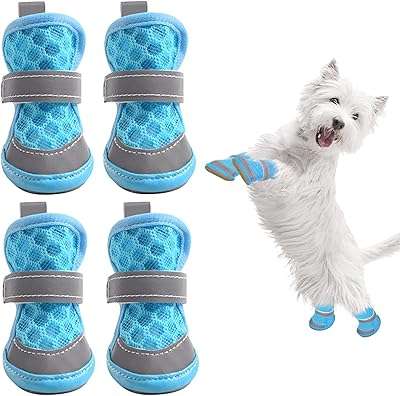 Chaussures pour chien en maille respirante de 18 pouces pour la marche des chiots sur chaussée. DIAYTAR COTE D'IVOIRE  - La destination en ligne pour les chasseurs de bonnes affaires ! Parcourez notre sélection incroyable de produits discount, comprenant tout, des appareils ménagers aux gadgets dernier cri. Faites des économies sans sacrifier la qualité avec DIAYTAR COTE D'IVOIRE .