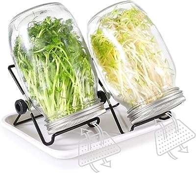 Ensemble de pots de graines de germination paquet de 2 épandeurs mason 32 onces complets avec couvercles. DIAYTAR COTE D'IVOIRE, votre solution intelligente pour des achats malins. Découvrez notre boutique en ligne et bénéficiez de prix discount sur une large sélection de produits pour la maison, l'électroménager, l'informatique et la mode. Ne manquez pas l'opportunité de faire des économies avec DIAYTAR COTE D'IVOIRE !