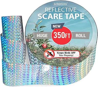 350m de ruban anti oiseaux réfléchissant de haute qualité ruban anti insectes double face pour repousser. DIAYTAR COTE D'IVOIRE, votre référence en ligne pour tous vos besoins en produits discount. Parcourez notre catalogue diversifié comprenant des articles pour la maison, l'électroménager, l'informatique, la mode et les gadgets, afin de dénicher les meilleures affaires du moment. Optez pour des économies substantielles sans compromettre la qualité et bénéficiez d'une expérience de shopping en ligne des plus avantageuses.
