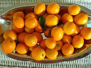 50 morceaux de graines de fruits oranges fraîches. Parfaitement adapté aux chasseurs de bonnes affaires, DIAYTAR COTE D'IVOIRE  vous offre une expérience de shopping en ligne unique. Notre sélection abondante de produits discount, incluant des articles essentiels pour la maison, l'électroménager, l'informatique, la mode et les gadgets, garantit que vous trouverez ce que vous cherchez sans vous ruiner.
