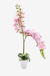 Orchidée artificielle pour plusieurs occasions rose. Envie d'être à la pointe de la mode sans dépenser une fortune ? DIAYTAR COTE D'IVOIRE  vous propose une sélection de vêtements et accessoires tendance à prix cassés. Que vous cherchiez des tenues pour toute la famille ou des pièces uniques pour vous démarquer, notre boutique en ligne généraliste vous garantit des achats mode discount qui feront sensation.
