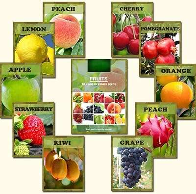 10 variétés de graines de fruits mélangés 542 pièces pitaya nutritives à la fraise. La boutique en ligne DIAYTAR COTE D'IVOIRE  propose une large gamme de produits discount pour répondre à tous vos besoins. Obtenez les dernières innovations technologiques, les indispensables pour votre maison et une sélection de vêtements à la mode, le tout à des prix avantageux. Parcourez notre catalogue et profitez de réductions exceptionnelles !