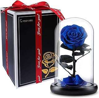 Fleurs préservées faites à la main pour toujours ne se fanent jamais cadeau de saint valentin. Plongez dans l'univers de DIAYTAR COTE D'IVOIRE, votre boutique en ligne généraliste spécialisée dans les produits discount. Explorez notre large variété d'articles allant de la maison à l'électroménager, en passant par l'informatique, la mode et les gadgets, le tout à des prix défiant toute concurrence. Profitez de notre expertise en matière de bonnes affaires et réalisez des économies significatives.