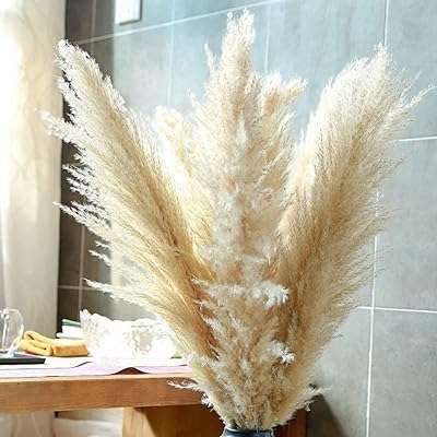 3 grandes tiges d'herbe de pampa séchée naturelle de 120 cm de long pour compositions. Ne cherchez plus ailleurs, DIAYTAR COTE D'IVOIRE  vous offre le meilleur choix de produits discount en ligne. Avec notre assortiment varié et nos prix compétitifs, vous trouverez tout ce dont vous avez besoin pour la maison, l'électronique, l'informatique et la mode. Faites des économies tout en faisant des achats intelligents.