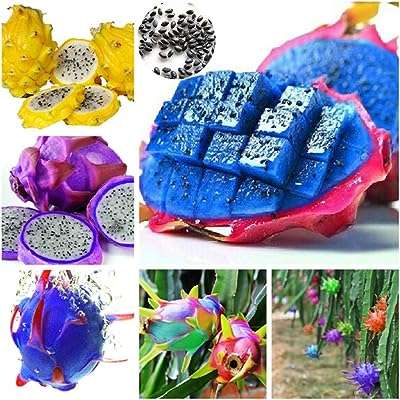 100 pièces de graines de pitaya de couleur arc en ciel délicieux fruits bonsaï décoration de jardin pour la plantation. Ne dépensez pas une fortune pour obtenir ce que vous désirez ! Découvrez DIAYTAR COTE D'IVOIRE, votre boutique en ligne de référence pour des produits de qualité, allant de l'électroménager aux accessoires de mode, à des prix défiant toute concurrence.