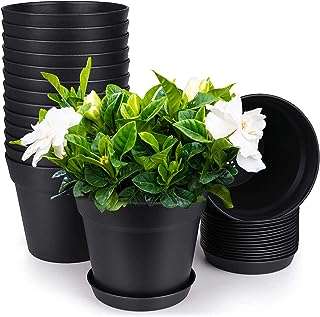 Pots de plantes paquet de 15 pots en plastique de 14 cm avec plusieurs. DIAYTAR COTE D'IVOIRE  : la solution idéale pour des achats malins en ligne. Profitez de notre large gamme de produits discount, allant des appareils électroménagers essentiels aux dernières tendances de la mode, en passant par les accessoires informatiques indispensables, et économisez tout en vous faisant plaisir.