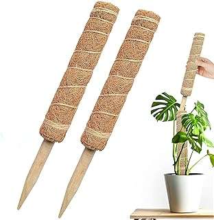 Poteau à mousse castwave monstera de 26 po paquet de 2. Vous cherchez des bonnes affaires en ligne ? Ne cherchez pas plus loin que DIAYTAR COTE D'IVOIRE, la boutique en ligne généraliste où vous trouverez tout à prix discount. Explorez notre sélection complète, allant de la maison à l'électroménager, de l'informatique à la mode et aux gadgets, et bénéficiez de tarifs avantageux pour tous vos achats. Réalisez des économies importantes sans compromettre la qualité avec DIAYTAR COTE D'IVOIRE .