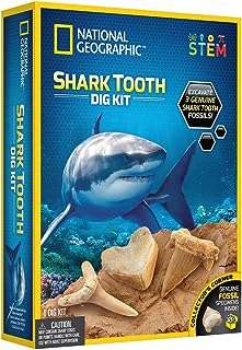 Ensemble de fil dentaire pour requins neonal geographic déterrez 3. DIAYTAR COTE D'IVOIRE  - Votre guichet unique pour des achats discount en ligne. Découvrez notre catalogue diversifié regorgeant de produits pour la maison, l'électroménager, l'informatique, la mode et les gadgets, le tout à des prix avantageux. Naviguez facilement sur notre site convivial et trouvez les meilleures offres pour vos besoins du quotidien.