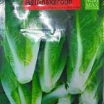 Graines de laitue romaine agrimax. Faites des économies sans compromis sur la qualité avec DIAYTAR COTE D'IVOIRE  ! Trouvez tout ce dont vous avez besoin, de l'électroménager aux gadgets high-tech en passant par les accessoires de mode, le tout à des prix défiant toute concurrence. Visitez notre boutique en ligne et découvrez un large choix de produits discount pour améliorer votre quotidien.