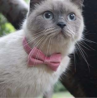 Collier de chat mignon cloche à nœud papillon détachable pour petits. À la recherche de produits discount de qualité ? Ne cherchez plus ! DIAYTAR COTE D'IVOIRE  vous propose une sélection variée d'articles pour la maison, l'électroménager, l'informatique et la mode à des prix imbattables. N'hésitez plus et faites des économies en optant pour nos offres attractives !